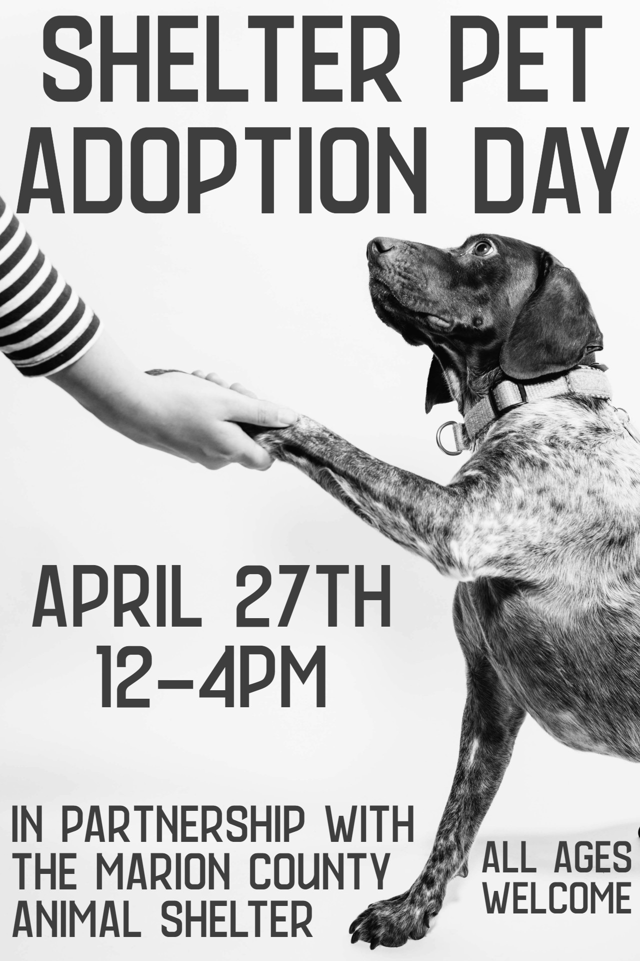 Shelter Pet Adoption Day at Graham Memorial Park