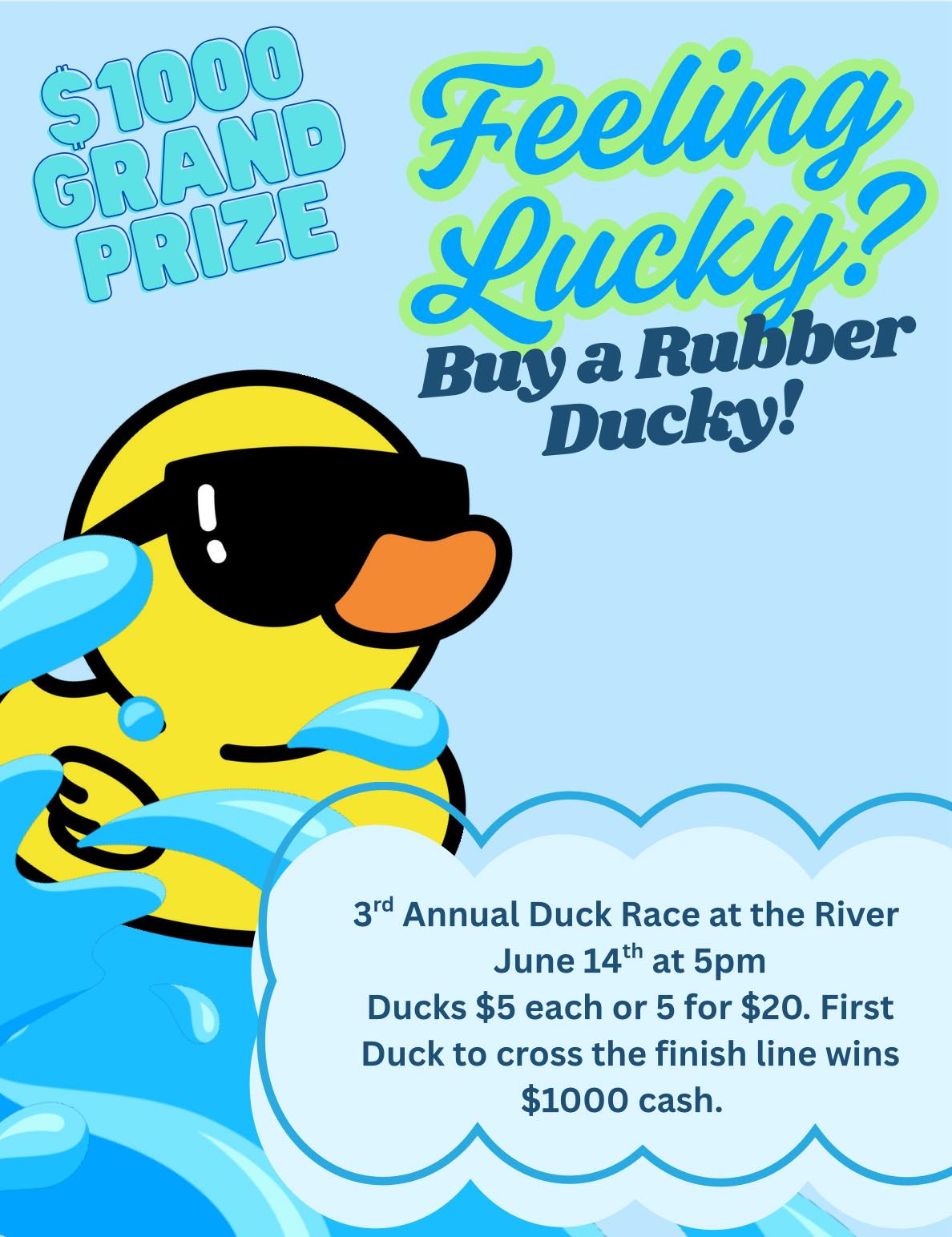Old Mill Days Duck Race