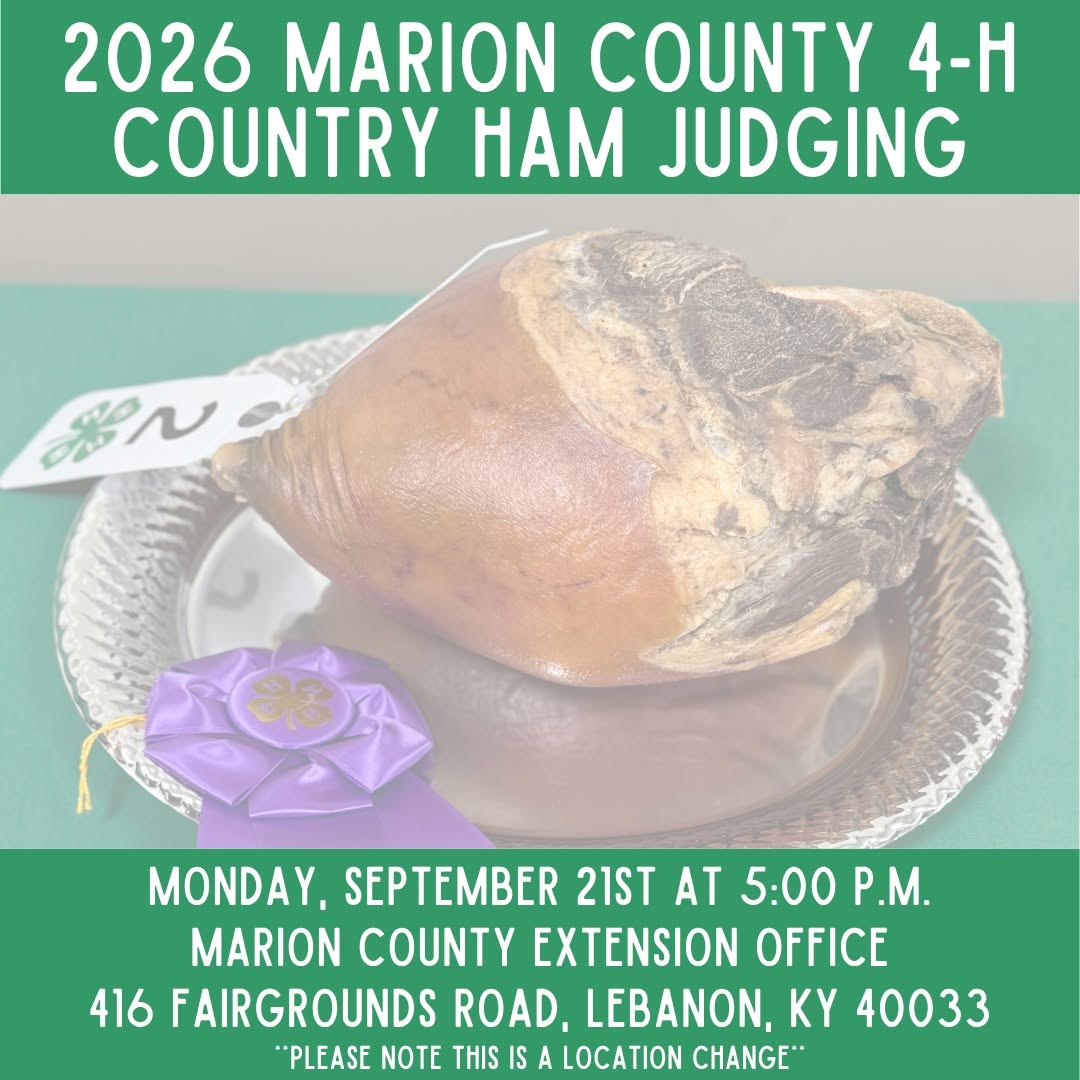 Marion County  4-H Country Ham Judging